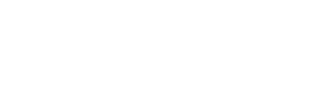 Black nova